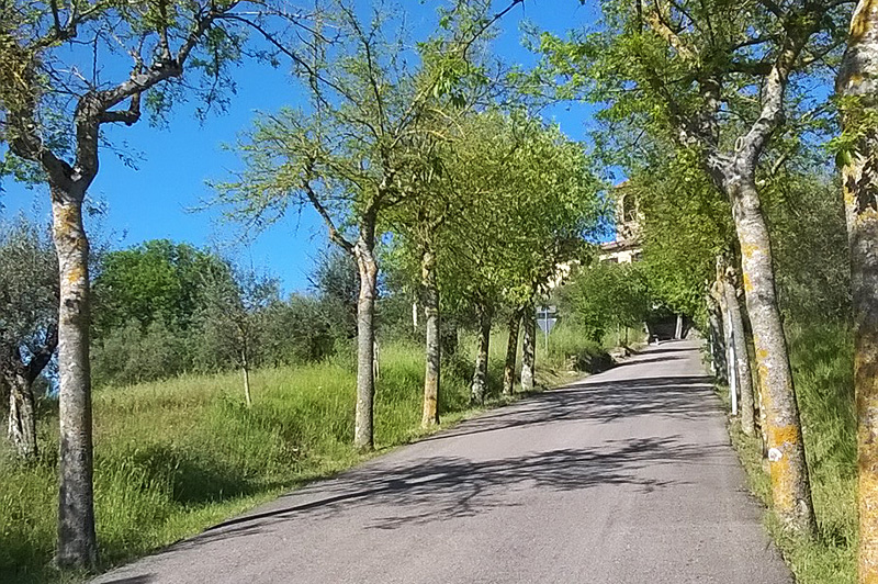 Percorsi solitari e silenziosi - Vacanze in moto al lago Trasimeno